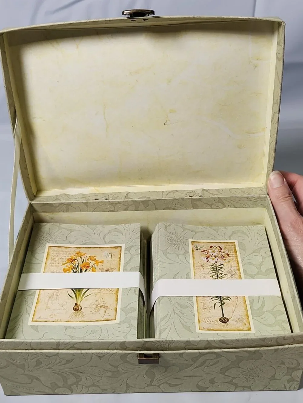 VTG New Seasons Deluxe Note Card Set & Keepsake Box Assorted Botanical Design